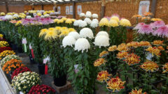 高貴・高潔・高尚・信頼