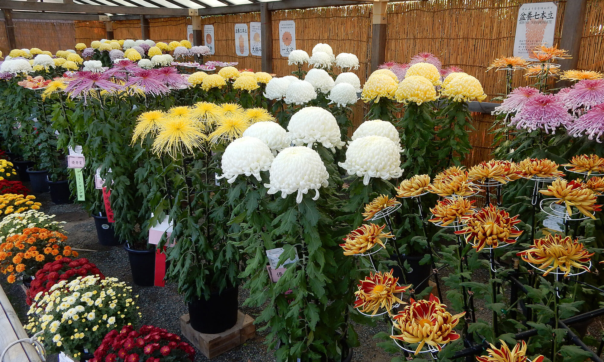 高貴・高潔・高尚・信頼